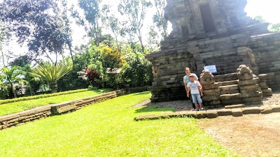 Photos of CANDI KIDAL