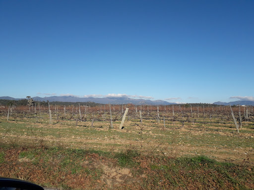 Fotos km756 N-II - Thumbnail