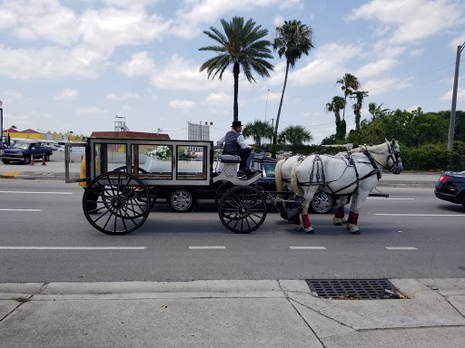 NW 31 Av & Sunrise Blvd - Thumbnail
