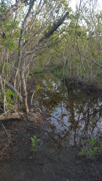 Samsons Island Nature Park