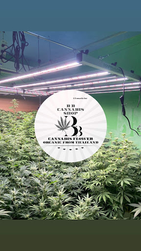 BB CANNABIS SHOP