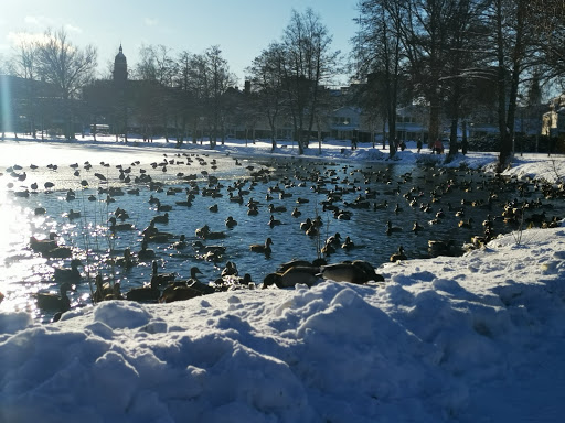 Ingsbergssjön - Visual