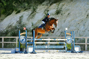 Photo n°11 de Écuries Alice Rueda à Saint-Aubin-de-Médoc (Écurie)