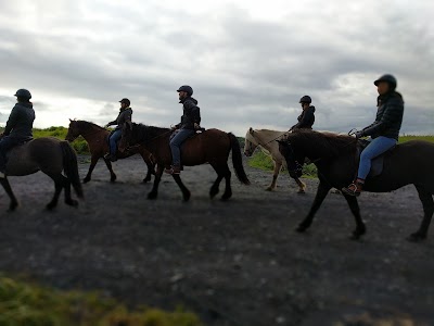 Photos of V&iacute;k Horse Adventure