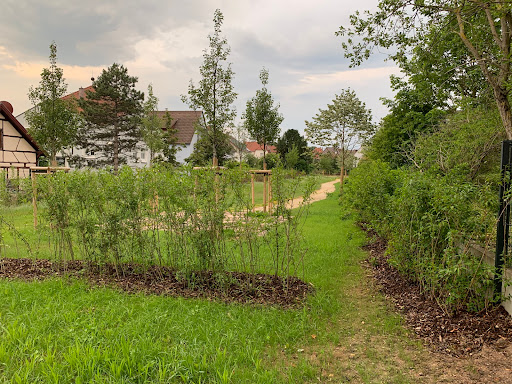 Campus Urbanic (Fritz OHG) - Thumbnail