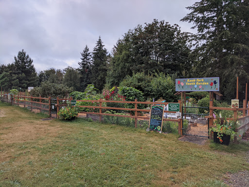 Raab Park Community P-Patch Garden - Thumbnail
