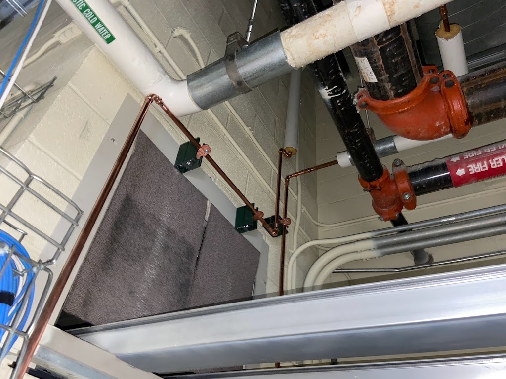 The Alert Pioneer Plumbing Company LLC - Plumbing Services