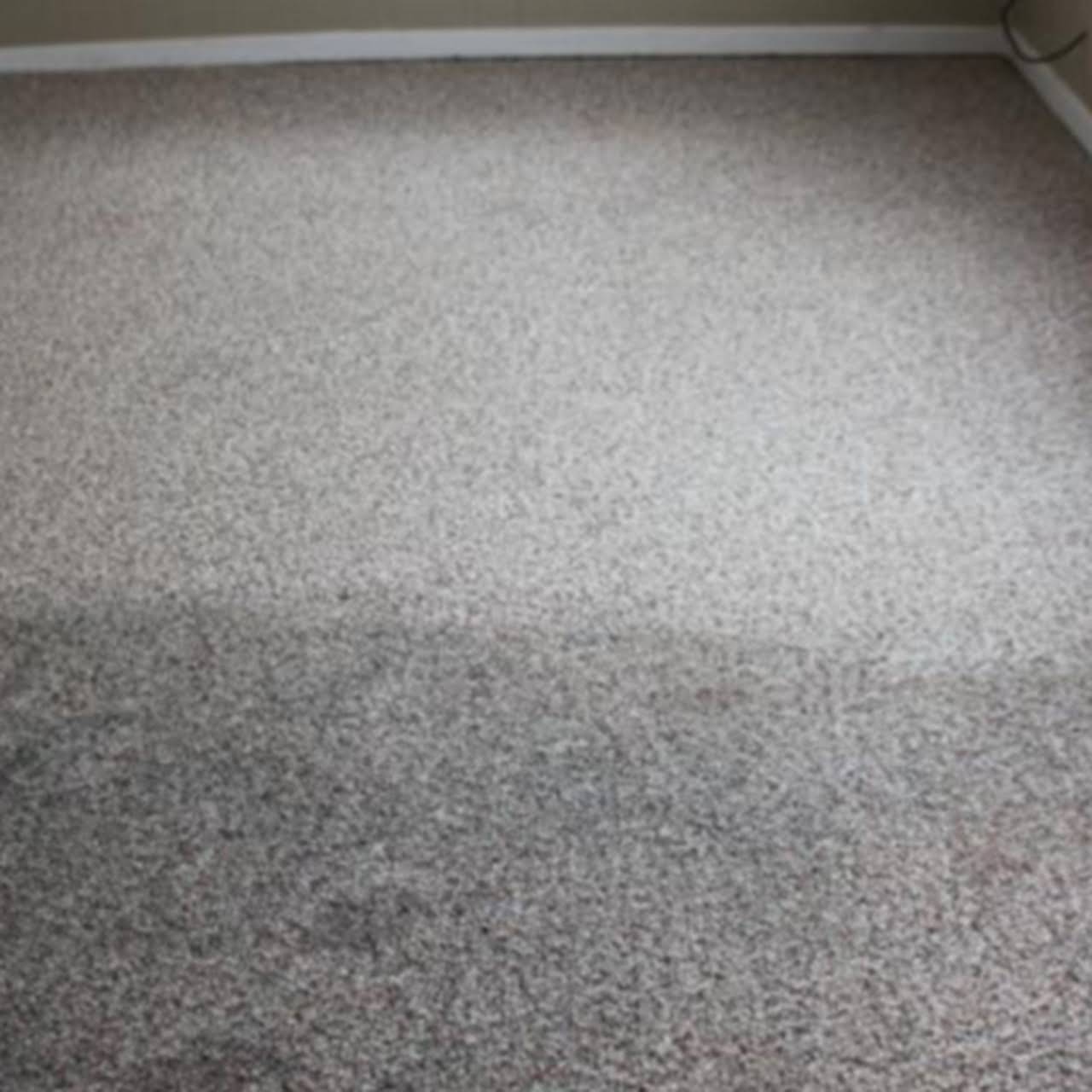 Lione Green Carpet Cleaning Valley Village Carpet Cleaning Service