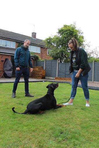 Animal Kind Dog Training and Behaviour - Thumbnail