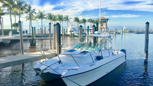 Wander Without Limits Charters