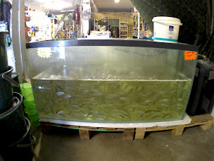 Photo n°10 de Au Bon Pêcheur à Saint-Gilles (Magasin de chasse)