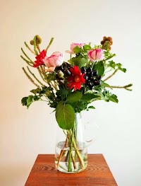 Il pleut.select / イルプルセレクト