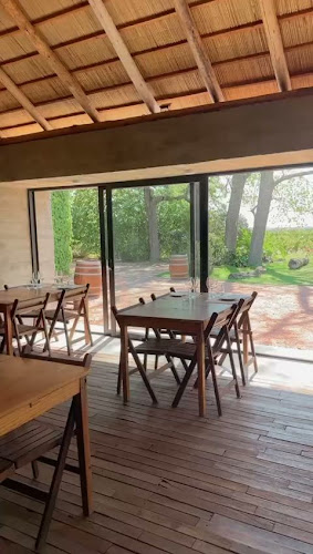 Opiniones de MonfrA winerestaurant en Toledo - Restaurante