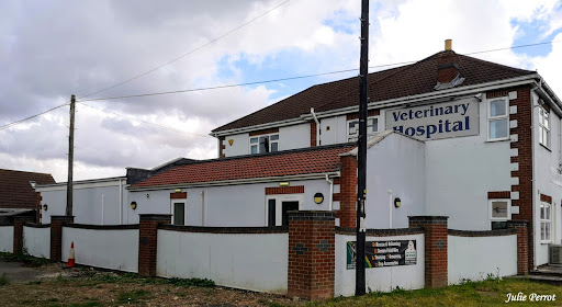 Sutterton Veterinary Hospital Gallery - United Kingdom