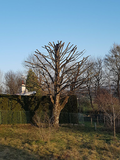 Photo de Concept et Paysage à Rioz (70190)