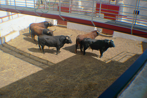 Plaza de Toros de Calasparra. - Thumbnail