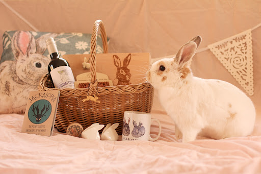 Rabbit Retail - Visual