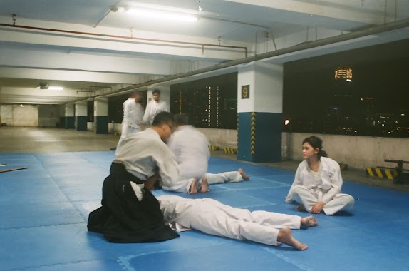 Tenkei Aikidojo Mayapada, Author: Tirta Perdana Jaya