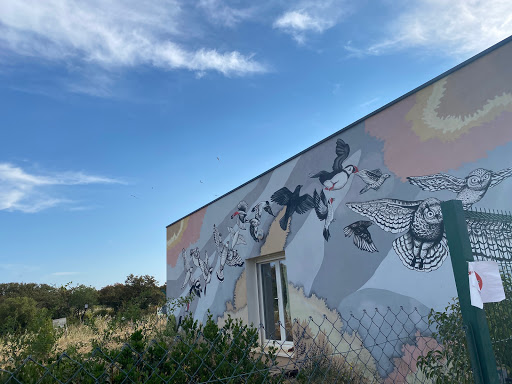 LPO Herault - Regional Center of Saving Wildlife