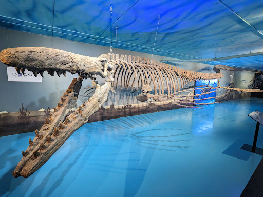 Canadian Fossil Discovery Centre Gallery - Canada