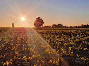 Photo n°6 de Cave La Garnaudiere à La Limouzinière (Cave à vins)