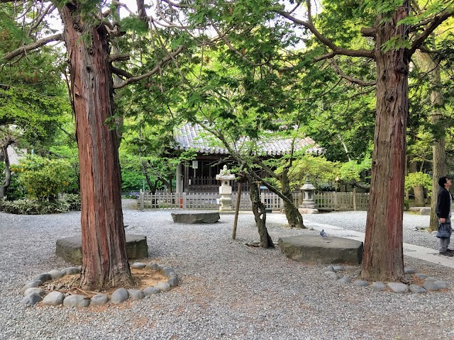 Great Buddha of Kamakura