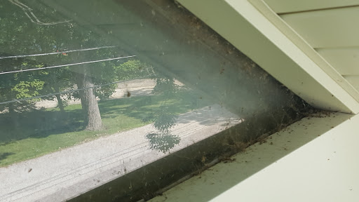 A True View, LLC. - Thumbnail