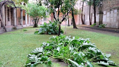 Photos of Basilica di Sant'Apollinare Nuovo
