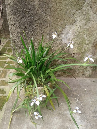 Photos of Castillo Familia Peon