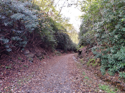 The Ghost Town Trail - Heshbon Trailhead - Thumbnail