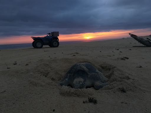 Campamento Tortuguero Mayto - Thumbnail