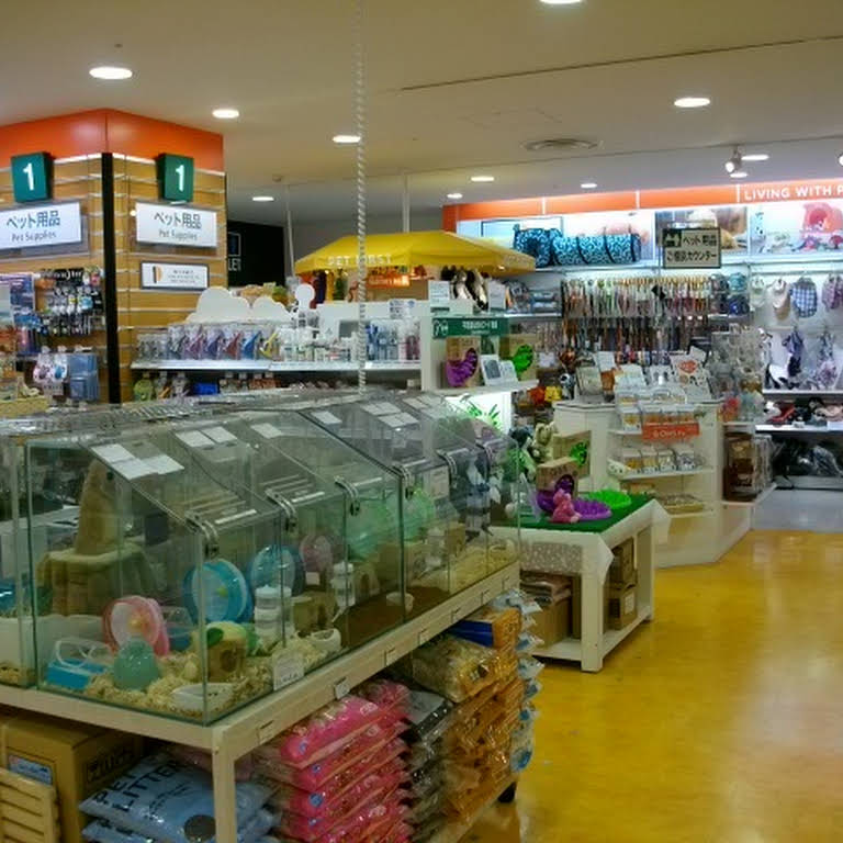 ペットファースト 東急ハンズ町田店 東急ハンズ町田店７ｆ ペットショップ