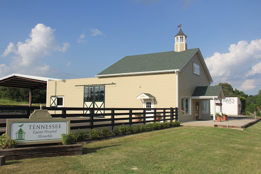 Tennessee Equine Hospital West - Thumbnail