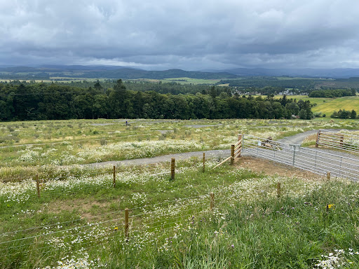 Tarland Trails - Pittenderich Gallery - United Kingdom