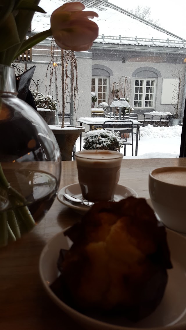 Grønn AS