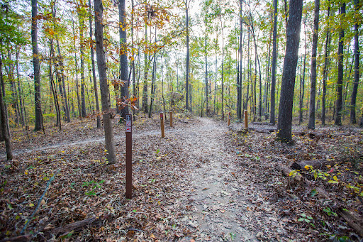 Harbins Park - Thumbnail