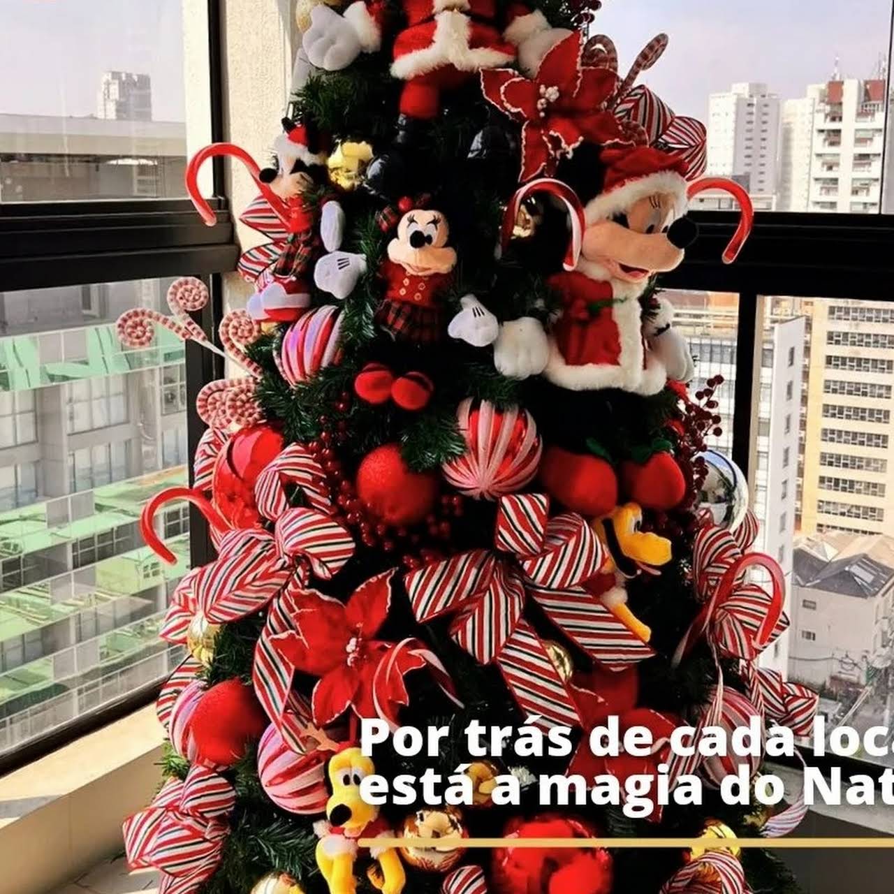 Locação de árvore de Natal em São Paulo