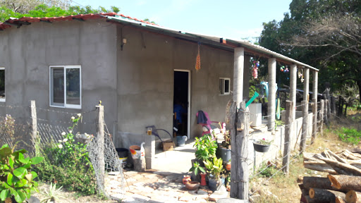 La Teca de Niltepec - Thumbnail