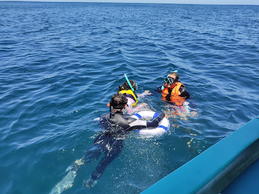 Hakuna Matata Baja Tours Gallery - Mexico