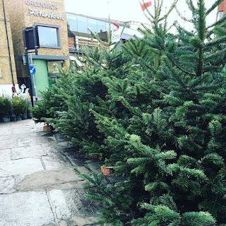Greenwich Christmas Trees