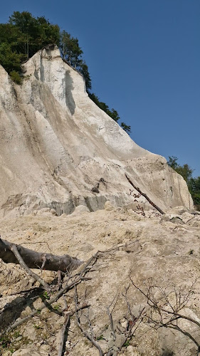 Anmeldelser af GeoCenter Møns Klint i Nykøbing Falster - Museum