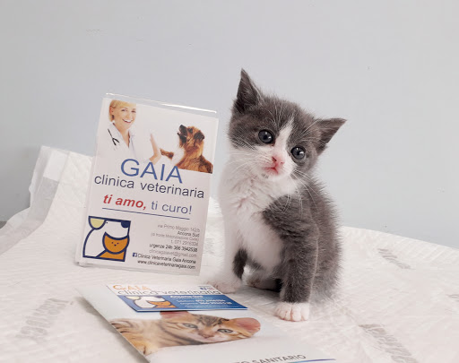 Clinica Veterinaria GAIA Ancona - Servizio di Oncologia Veterinaria - Thumbnail