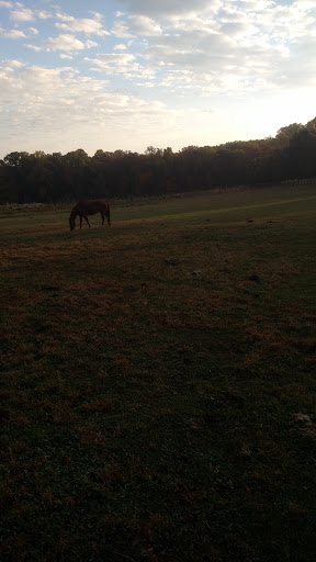 Harvest Hayride Gallery - United States