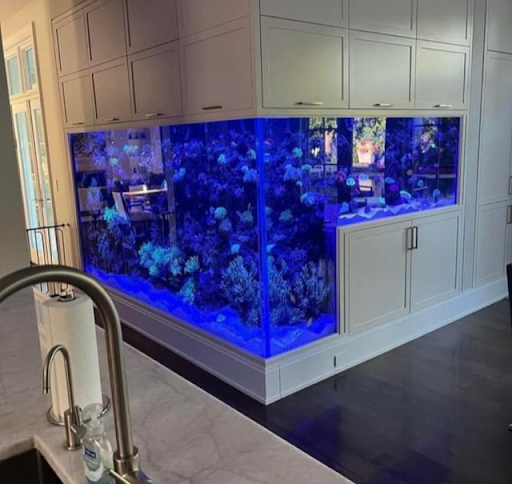 Mermark Aquarium Services