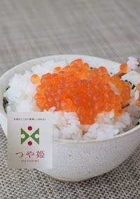 米 伍代目 善太郎 小川屋米穀店