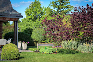 Photo n°1 de Profusion Jardin à Saint-Étienne-du-Rouvray (Paysagiste)