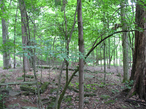 Cornelius Family Cemetery - Thumbnail