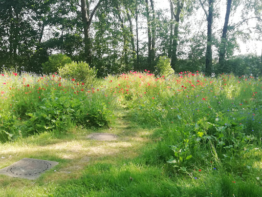 Parkplatz Sechs-Seen-Platte