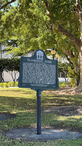 Flamingo Park - Visual