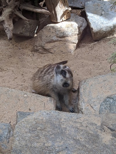 Small Mammal House